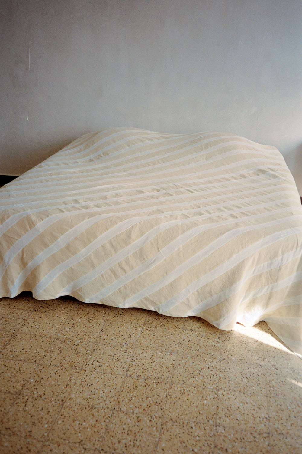 The Diagonal Striped Throw from "A Well-Dressed Apartment"